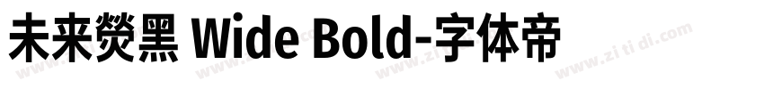 未来熒黑 Wide Bold字体转换